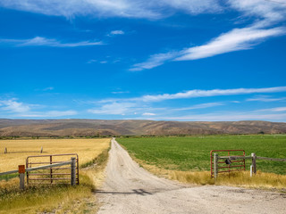 Fototapeta premium Beautiful Idaho landscape on a clear day
