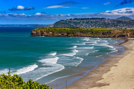 New Zealand, South Island. Dunedin. Tomahawk Beach. There is Dunedin city in the background