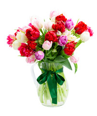 Fresh tulips flowers