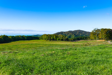 宮城栗駒高原の牧場のフェンスに囲まれた放牧場