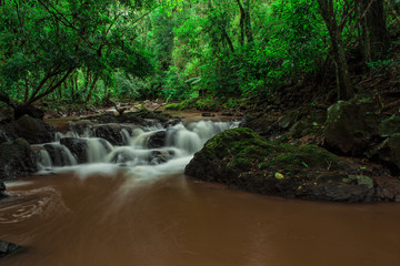 Obraz premium waterfall in forest