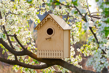 Wooden birdhouse on a blossoming tree in spring. Garden in springtime. Blooming cherry with beautiful back sunlight