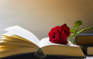 romantic red rose on the open book