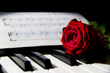 a red rose on the piano keys - Powered by Adobe
