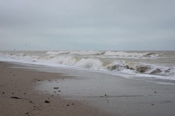Winter sea and the beach in shades of creme brulee