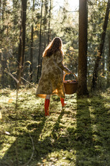 Young woman with long red hair in a linen dress gathering mushrooms in the forest in the bast basket