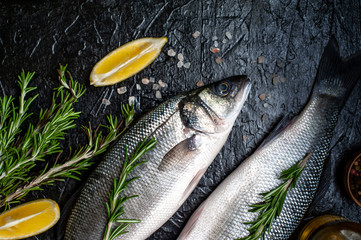 Fresh fish sea bass. Raw sea bass fish with spices and herbs ingredients on concrete. 