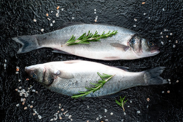 Fresh fish sea bass. Raw sea bass fish with spices and herbs ingredients on concrete. 
