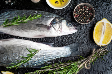 Fresh fish sea bass. Raw sea bass fish with spices and herbs ingredients on concrete. 
