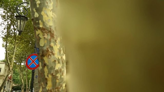 Istanbul Ottoman Kucuk Mecidiye Mosque