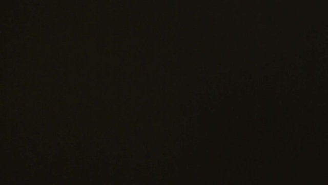 Istanbul Ottoman Laleli Mosque Dome