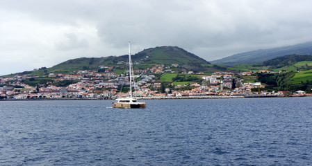Fototapeta na wymiar Yacht leaves the hospitable harbor of Horta.