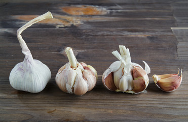 Fresh garlic on wooden background. Still life with raw vegetable. Concept of healthy food and nutrition.