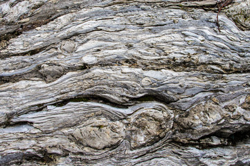 Rock texture: its natural design.