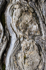 Rock texture: its natural design.