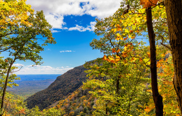 autumn landscape with trees and blue sky