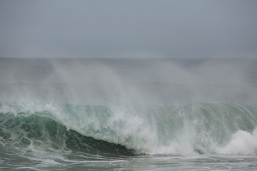 Wave Power
