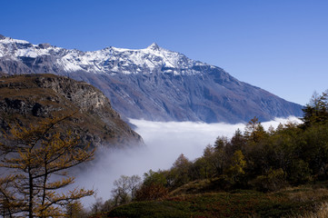 Fototapeta na wymiar The clouds under the Rocciamelone Italy may look like a white river flowing among the mountains.