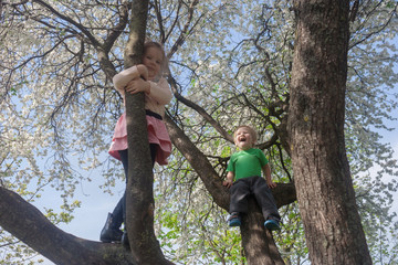 voice of spring