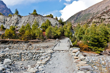 Wooden bridge in the himalayan mountains