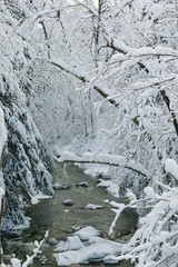 Snow covered trees over Goldbrook Stream in the middle of winter, Stowe, Vermont, USA