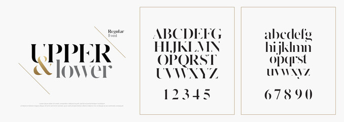 Fototapeta Elegant alphabet letters font set. Classic Custom Lettering Designs for logo, Poster. Typography fonts classic style, regular uppercase, lowercase and number. vector illustration obraz
