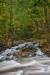 Smoky Mountain River in Early Autumn