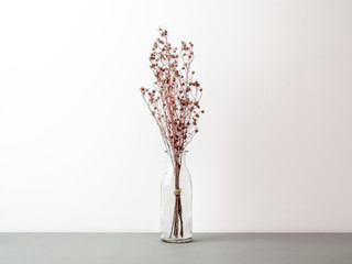 Bouquet of dried and wilted red Gypsophila flowers in glass bottle on gray floor and white background