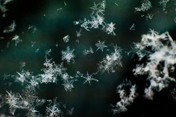Fototapeta na wymiar Snowflakes Falling