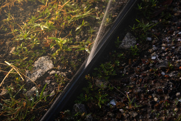 Water pipe break, leaking from hole in a hose,selective focus - Image