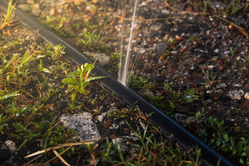 Water pipe break, leaking from hole in a hose,selective focus - Image