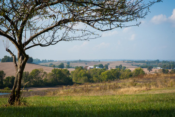 Illinois Countryside