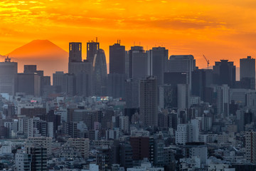 新宿の街並みと富士山　夕景