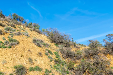 dirt hillside in natural light with blue sky for text