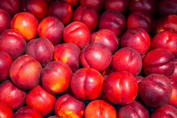 Close-up view of red plums for sale at Nice market in France
