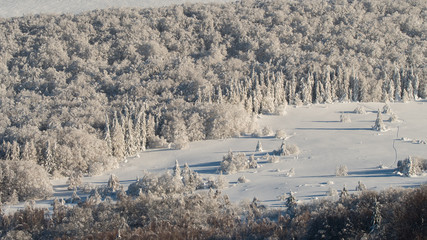 Beautiful snowy forest and meadow in the mountains. Winter landscape of the Bieszczady Mountains. Poland