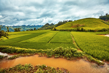 South asia rural landscape concept: Rice fields, green hills, river on the foreground