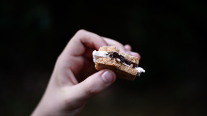 smores in hand