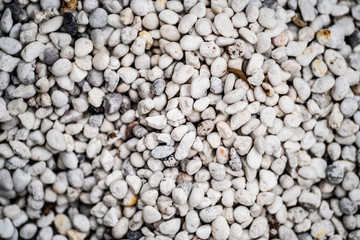 white stone small with select focus