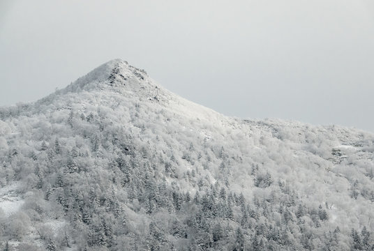 Winter mountain landscape against a gray sky