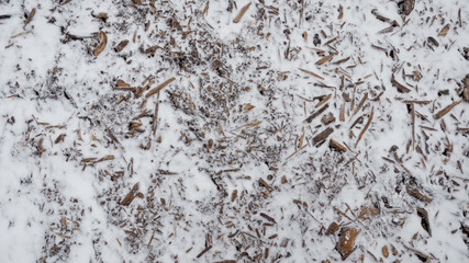 Looking down at snow on mulched area