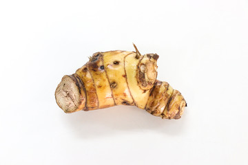 Galanga Close up