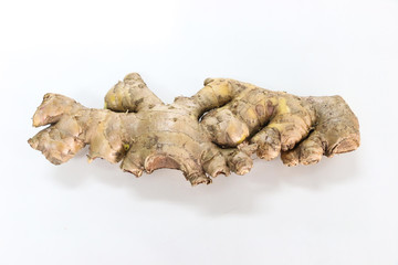 Cassumunar ginger Close up, Phlai