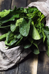 Fototapeta premium Spinach photography