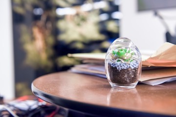 オフィスの観葉植物