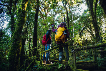 Couples traveling, relax in winter.Enjoy hiking walking travel to study nature in the rainforest. at the angka, Chiangmai