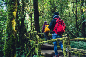 Couples traveling, relax in winter. walking travel to study nature in the rainforest. at the angka, Chiangmai in Thailand.