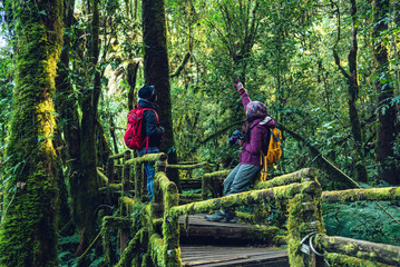 Obraz premium Couples traveling, relax in winter. walking travel to study nature in the rainforest. at the angka, Chiangmai in Thailand.