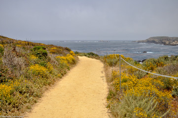 path to the beach