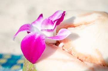 Obraz na płótnie Canvas pink flower on a fresh green coconut on the beach